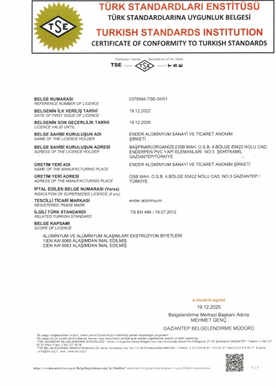TS EN 486